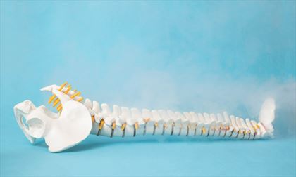 kriolezja kręgosłupa